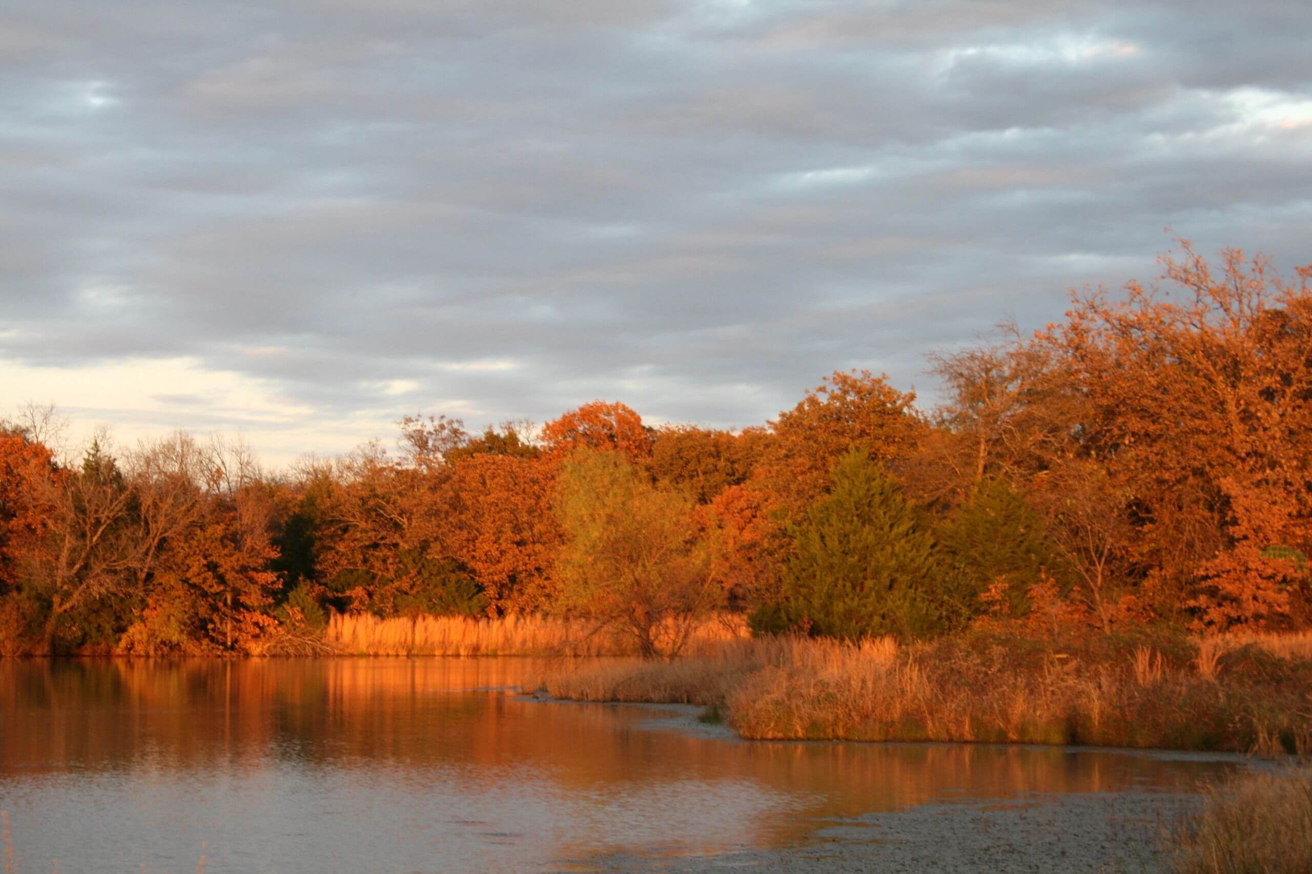 Gallery: Discover Our Tranquil Getaway - Shawnee RV Park