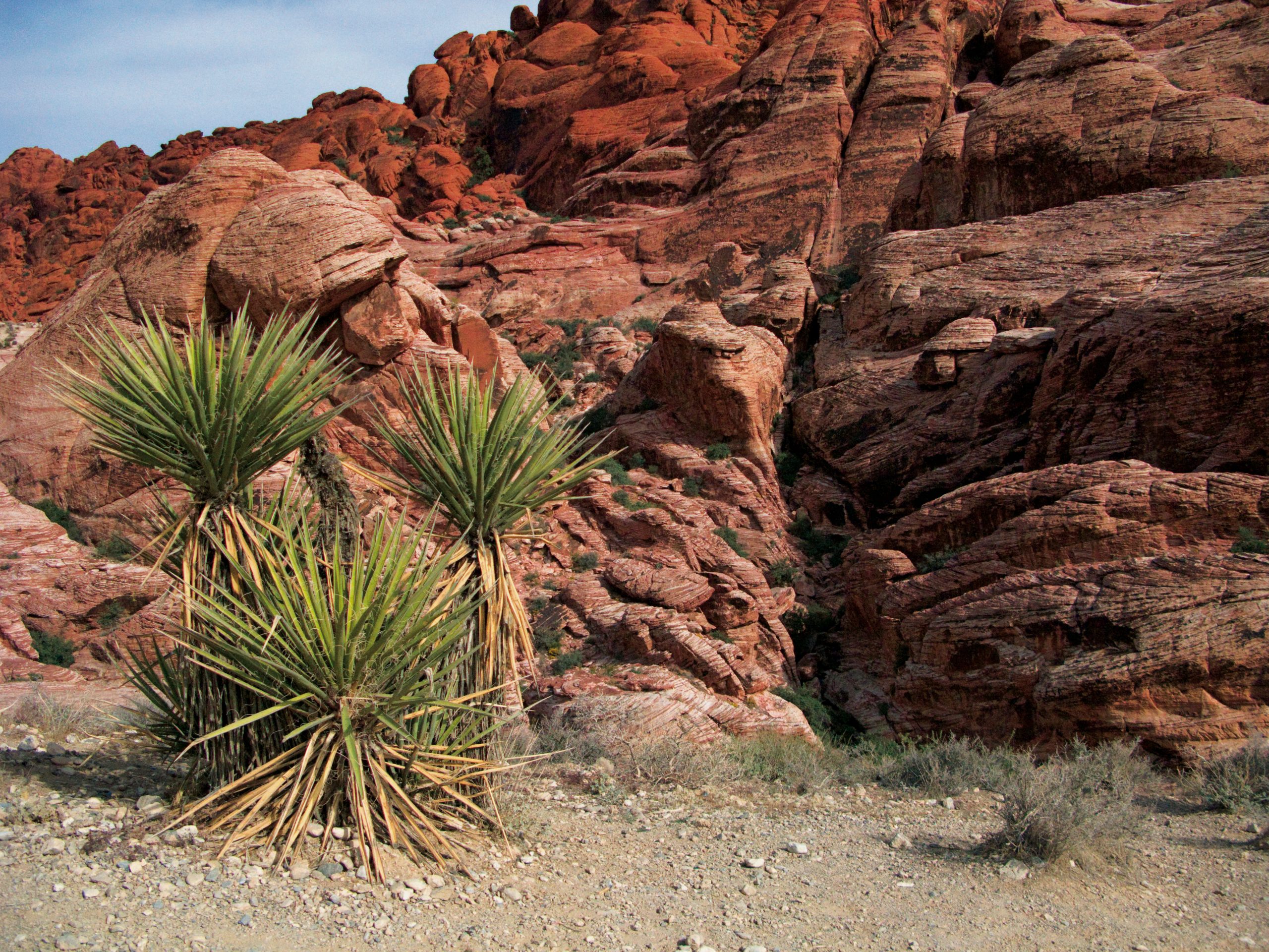 Red Rock Canyon Adventure Park